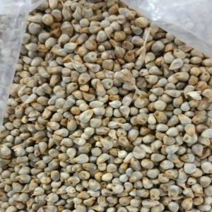 C Grade Pearl Millets