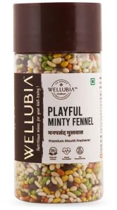 Playful Minty Fennel Premium Mouth Freshener