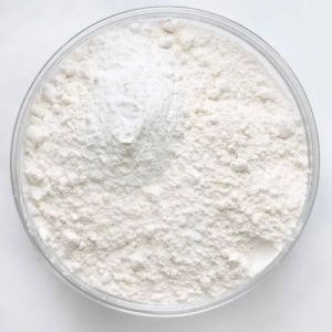 Ciprofloxacin Hydrochloride Powder