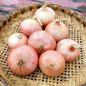 Fresh Pink Onion