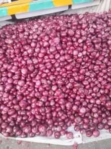 organic red onion