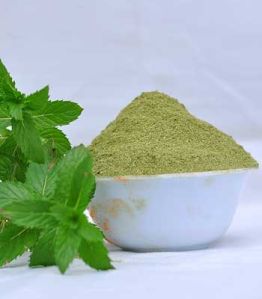 DRIED MINT LEAVES POWDER