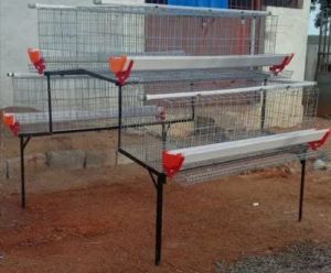 50 Birds Poultry Layer Cage