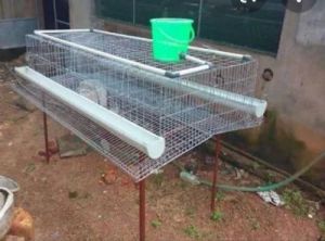 Galvanized Iron Mesh Poultry Cage