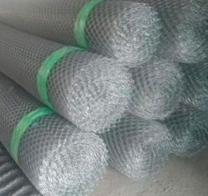 Galvanized Iron Poultry Cage Fencing Mesh