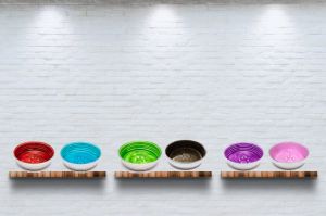 Le Bol Dog Bowls