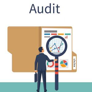 Labour Law Audit