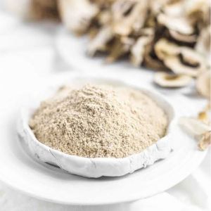 Dried Oyster Mushroom Powder