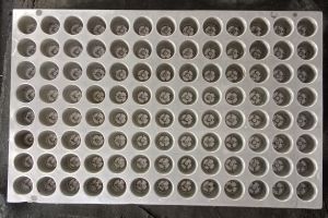 Aluminium Seedling Tray