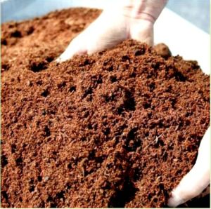 Enriched Cocopeat