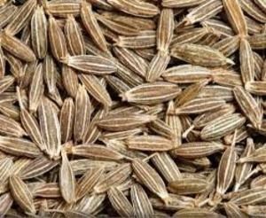 Cumin Seeds Bold