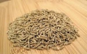 Cumin Seeds SINGAPORE