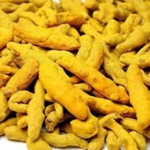 Finger Turmeric Regular Quality and Powder