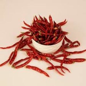 RED CHILLI Teja