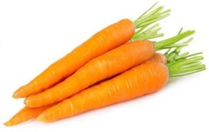 Fresh Orange Carrot