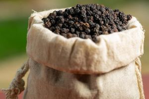 Raw Black Pepper Seeds