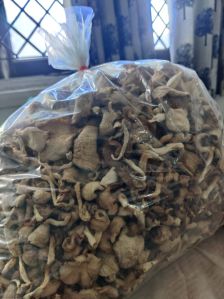 Dried Oyster Mushroom