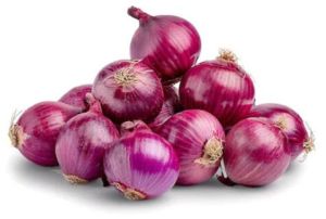 Onion