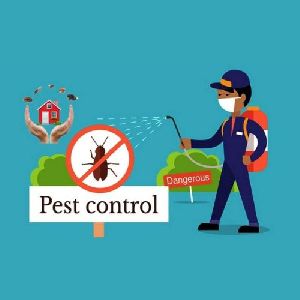 Bed Bug Pest Control Services