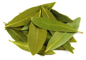 Bay Leaf