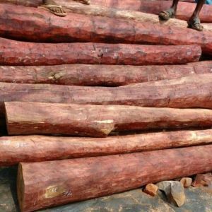 a Grade Red Sandalwood Log