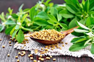 Fenugreek Seed