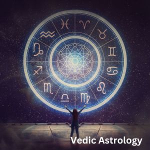 vedic astrology services