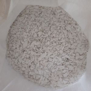 PPCP MILKYWHITE CHIPS