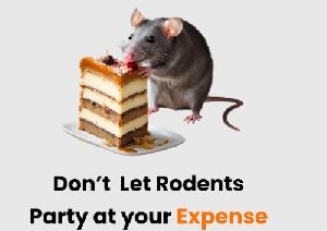 Rodent Pest Control Services