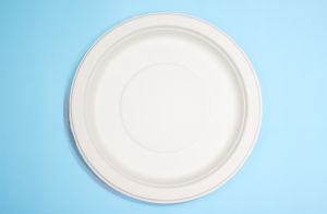 10 Inch Round Plate No Compartments