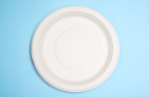 6'' Round Plate No Compartments