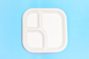 9 Inch SQ Plate 3 Compartments