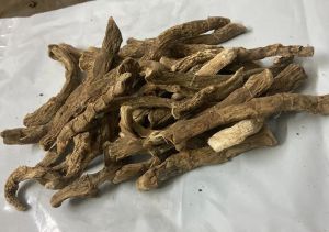 Dried Ghoda Vaj Root