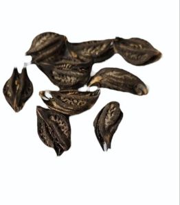 Dried Solanum Nigrum Seed