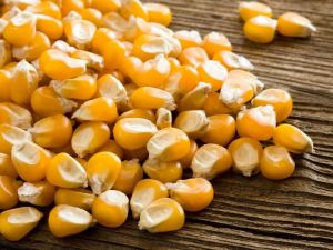 natural yellow maize