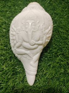 Turbinella Pyrum Ganesh Carving Shankh