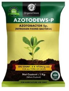 OrganicDews Azotodews-P Bio Fertilizer