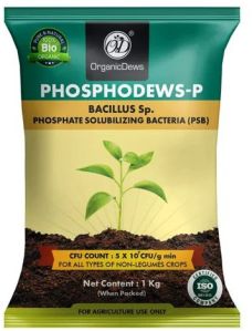 OrganicDews Phosphodews-P Bio Fertilizer