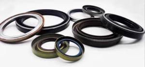 Oil Seals