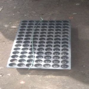 plastic seedling tray