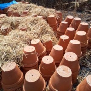 Soil Flower Pots