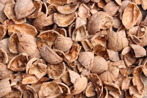 Walnut Shells