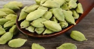 Green Cardamom