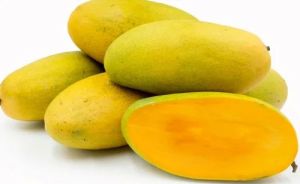 Fresh Dashehari Mango