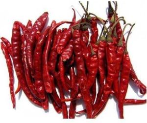 natural dried red chilli