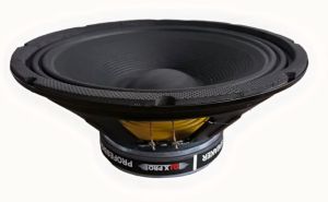 12 Inch 200watt PA Speaker