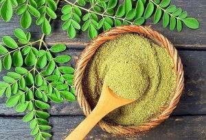 Organic Moringa Leaf Powder