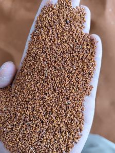 Asalia Seeds