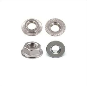 Hexagon Flange Nut