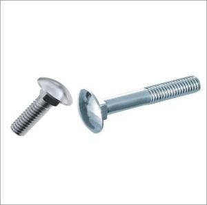 Round Head Square Neck Bolt